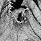 DSF0055.jpg